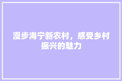 漫步海宁新农村，感受乡村振兴的魅力