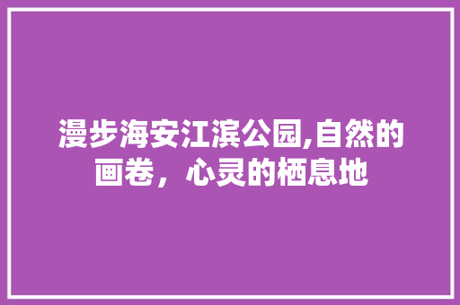 漫步海安江滨公园,自然的画卷，心灵的栖息地