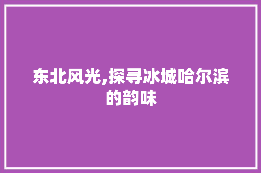 东北风光,探寻冰城哈尔滨的韵味  第1张