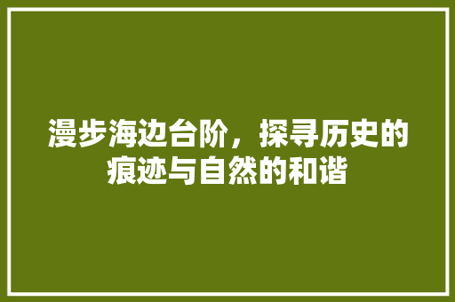 漫步海边台阶，探寻历史的痕迹与自然的和谐