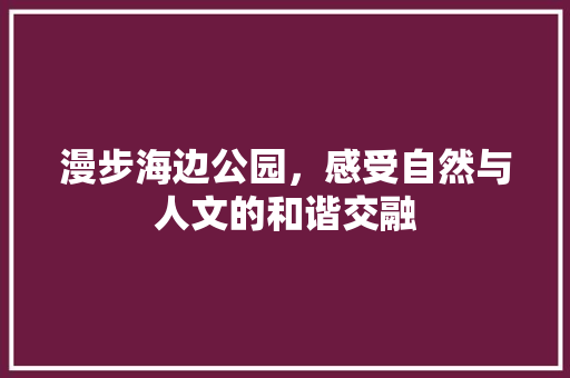 漫步海边公园，感受自然与人文的和谐交融