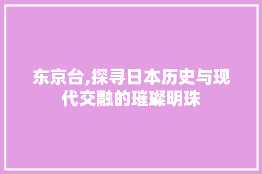 东京台,探寻日本历史与现代交融的璀璨明珠  第1张