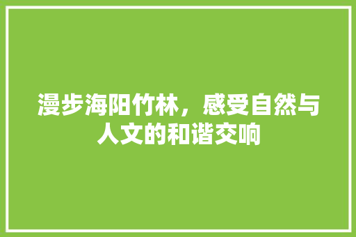 漫步海阳竹林，感受自然与人文的和谐交响