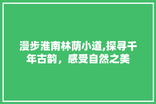 漫步淮南林荫小道,探寻千年古韵，感受自然之美