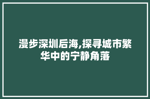 漫步深圳后海,探寻城市繁华中的宁静角落