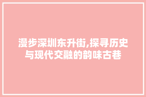 漫步深圳东升街,探寻历史与现代交融的韵味古巷