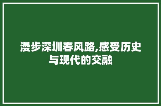 漫步深圳春风路,感受历史与现代的交融