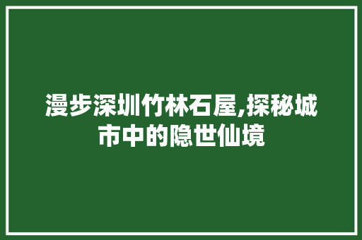 漫步深圳竹林石屋,探秘城市中的隐世仙境