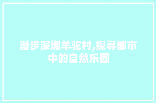 漫步深圳羊驼村,探寻都市中的自然乐园