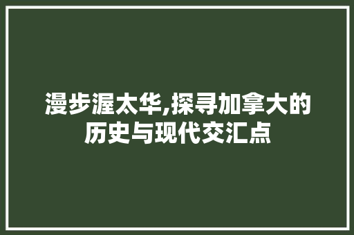 漫步渥太华,探寻加拿大的历史与现代交汇点