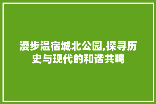 漫步温宿城北公园,探寻历史与现代的和谐共鸣