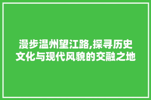 漫步温州望江路,探寻历史文化与现代风貌的交融之地