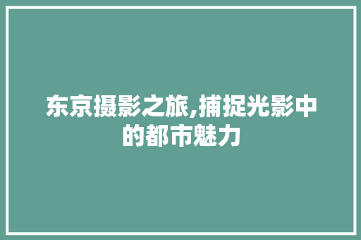 东京摄影之旅,捕捉光影中的都市魅力  第1张