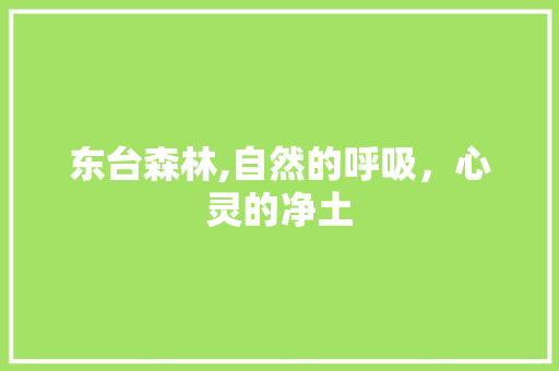 东台森林,自然的呼吸，心灵的净土