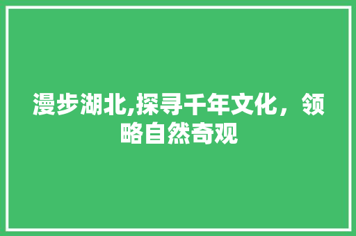 漫步湖北,探寻千年文化，领略自然奇观  第1张