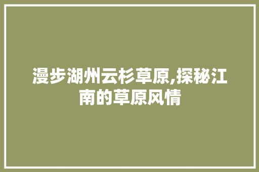 漫步湖州云杉草原,探秘江南的草原风情