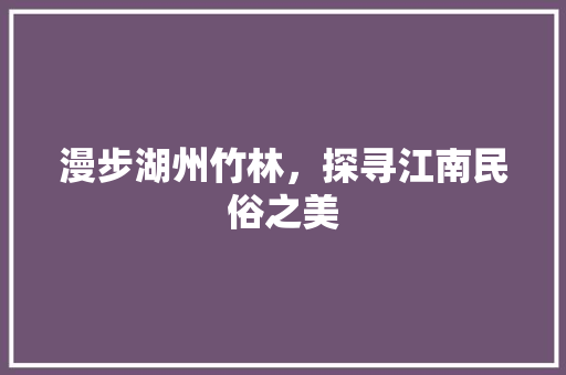 漫步湖州竹林，探寻江南民俗之美