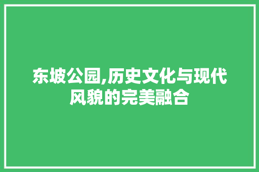 东坡公园,历史文化与现代风貌的完美融合