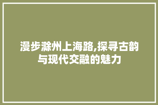 漫步滁州上海路,探寻古韵与现代交融的魅力