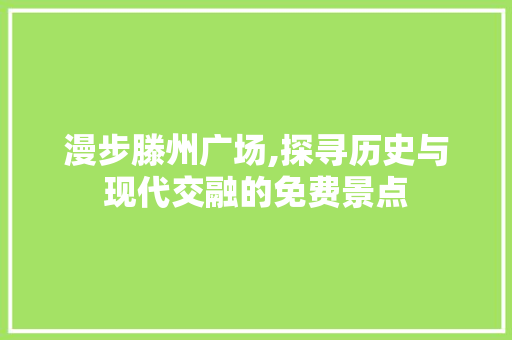 漫步滕州广场,探寻历史与现代交融的免费景点