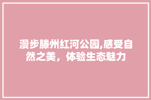 漫步滕州红河公园,感受自然之美，体验生态魅力