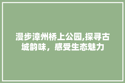 漫步漳州桥上公园,探寻古城韵味，感受生态魅力