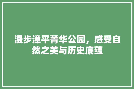 漫步漳平菁华公园，感受自然之美与历史底蕴