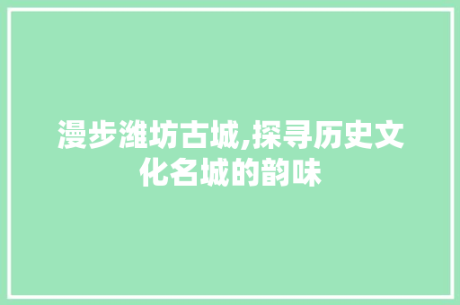 漫步潍坊古城,探寻历史文化名城的韵味