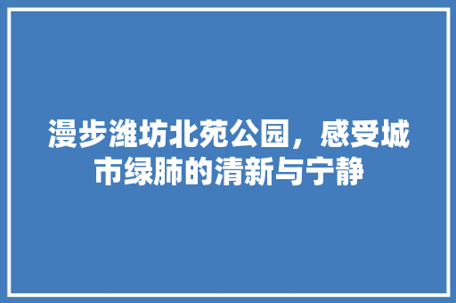 漫步潍坊北苑公园，感受城市绿肺的清新与宁静