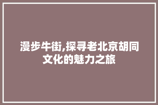 漫步牛街,探寻老北京胡同文化的魅力之旅