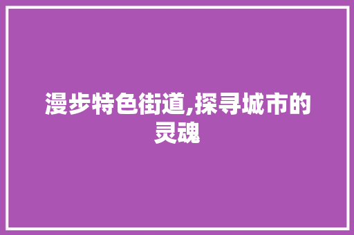 漫步特色街道,探寻城市的灵魂  第1张