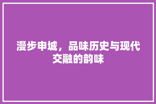 漫步申城，品味历史与现代交融的韵味