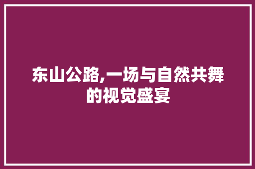 东山公路,一场与自然共舞的视觉盛宴