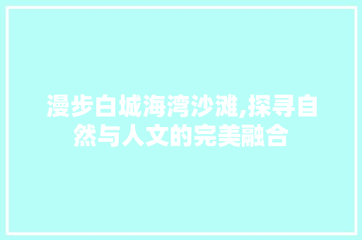 漫步白城海湾沙滩,探寻自然与人文的完美融合  第1张