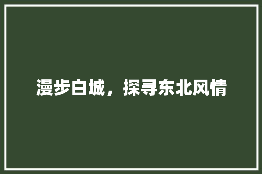 漫步白城，探寻东北风情