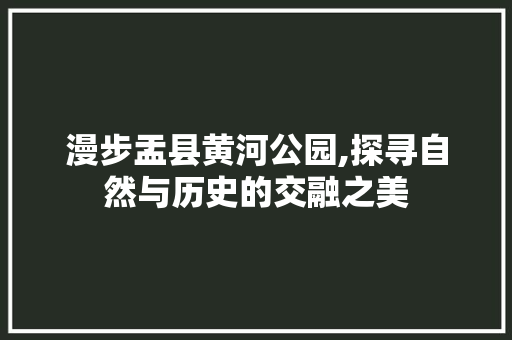 漫步盂县黄河公园,探寻自然与历史的交融之美