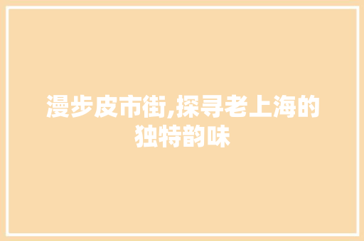 漫步皮市街,探寻老上海的独特韵味