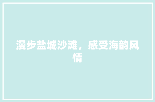 漫步盐城沙滩，感受海韵风情