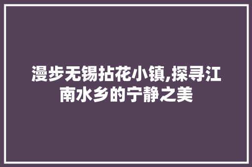 漫步无锡拈花小镇,探寻江南水乡的宁静之美