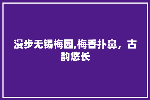 漫步无锡梅园,梅香扑鼻，古韵悠长