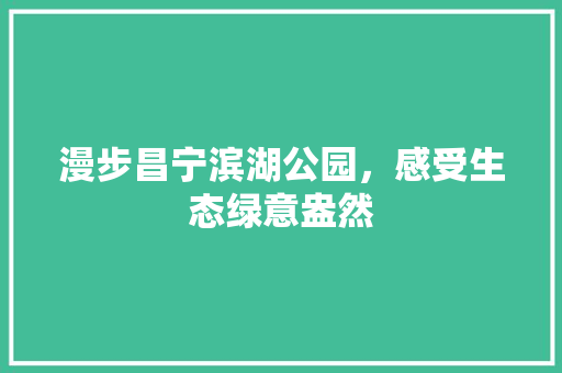 漫步昌宁滨湖公园，感受生态绿意盎然