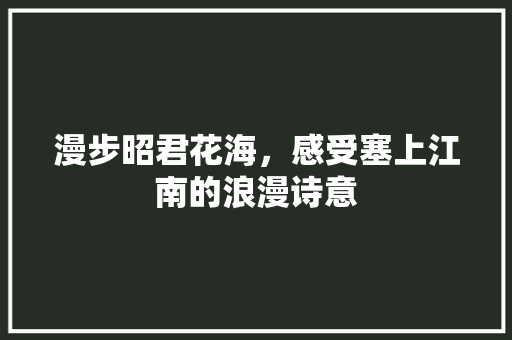 漫步昭君花海，感受塞上江南的浪漫诗意