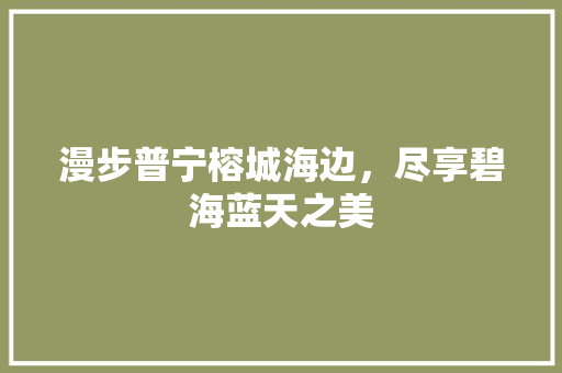 漫步普宁榕城海边，尽享碧海蓝天之美