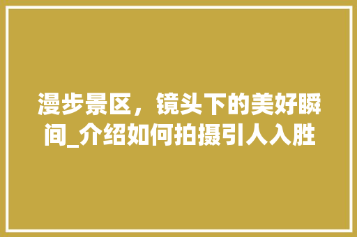 漫步景区，镜头下的美好瞬间_介绍如何拍摄引人入胜的景点视频