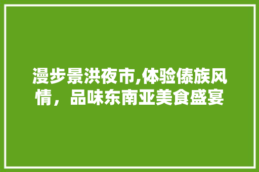 漫步景洪夜市,体验傣族风情，品味东南亚美食盛宴