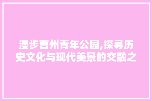 漫步曹州青年公园,探寻历史文化与现代美景的交融之地