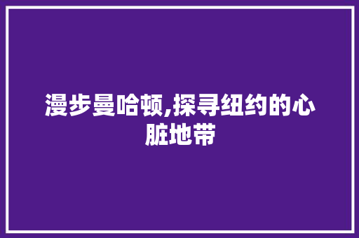 漫步曼哈顿,探寻纽约的心脏地带