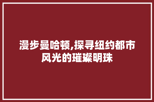 漫步曼哈顿,探寻纽约都市风光的璀璨明珠