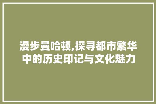 漫步曼哈顿,探寻都市繁华中的历史印记与文化魅力