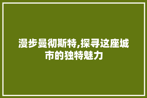 漫步曼彻斯特,探寻这座城市的独特魅力